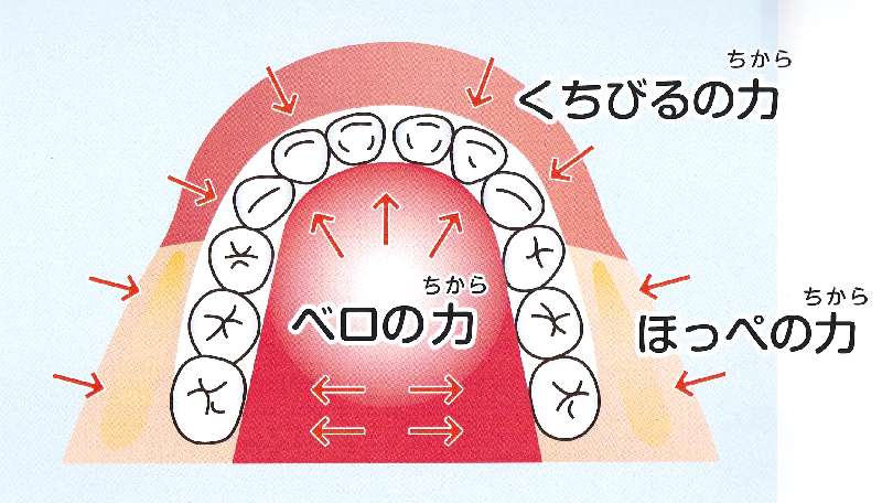 口呼吸は絶対ダメ 口呼吸の原因と治し方 久野歯科医院